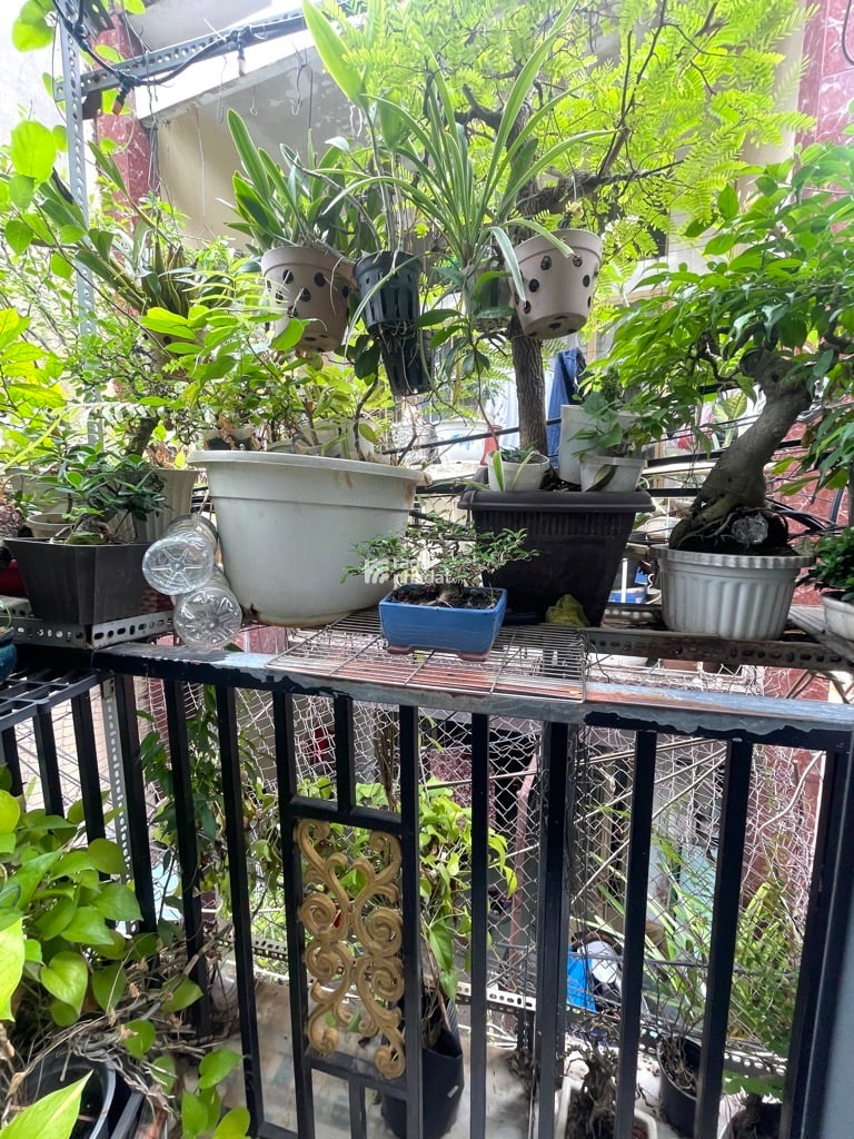 ĐÓN ĐẦU TUYẾN METRO, CÁCH MẠNG THÁNG 8, TÂN BÌNH, 2 TẦNG Ở NGAY. GIẢM 350TR CHỈ CÒN 1.85T TL 