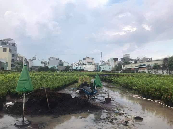 Mặt tiền sông Vàm Thuật  8672m2 (76x147)  đất giáo dục Phan Huy Ích  Gò Vấp  Giá 190 Tỷ