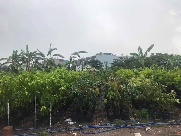 Mặt tiền sông Vàm Thuật  8672m2 (76x147)  đất giáo dục Phan Huy Ích  Gò Vấp  Giá 190 Tỷ