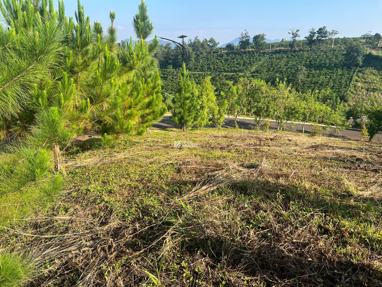 Bán đất dự án La Nature Bảo Lộc lô mặt tiền, full thổ cư, giá tốt nhất khu vực
