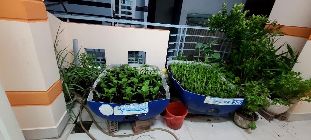 60M2 - 3 TẦNG BTCT - NGANG 3.6 DÀI 12 NỞ HẬU 5.56 - 4PN,4WC - HẺM XE HƠI - PHÚ ĐỊNH