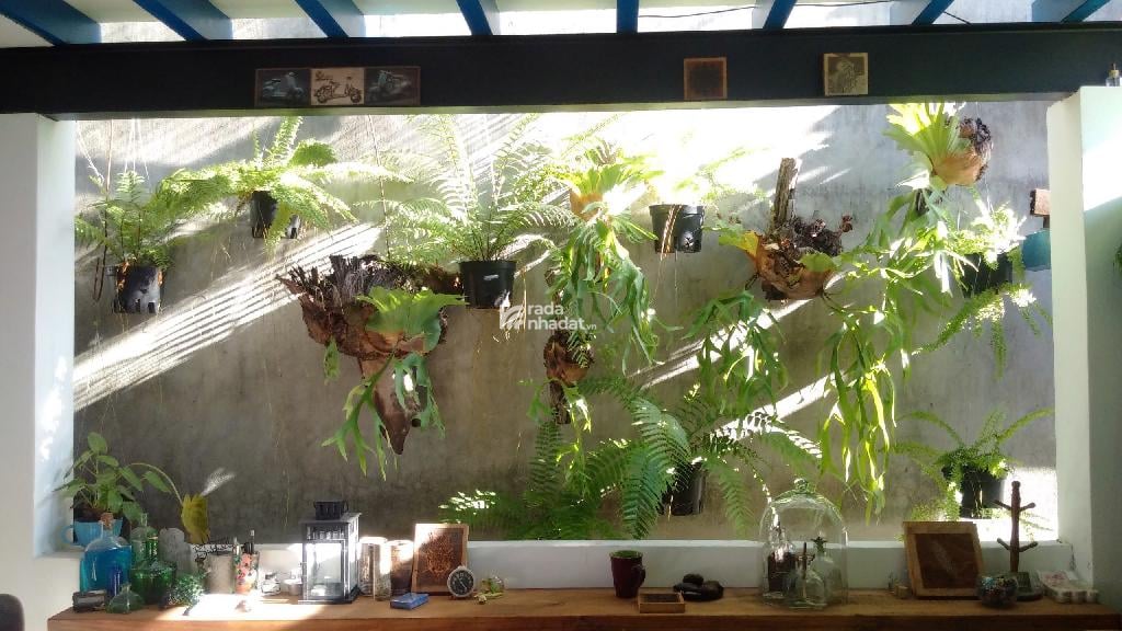 NHÀ 2 TẦNG, HẺM XE HƠI THÔNG, ĐỐI DIỆN VẠN PHÚC CITY, 5,2X20, CHỈ 5,2 TỶ.