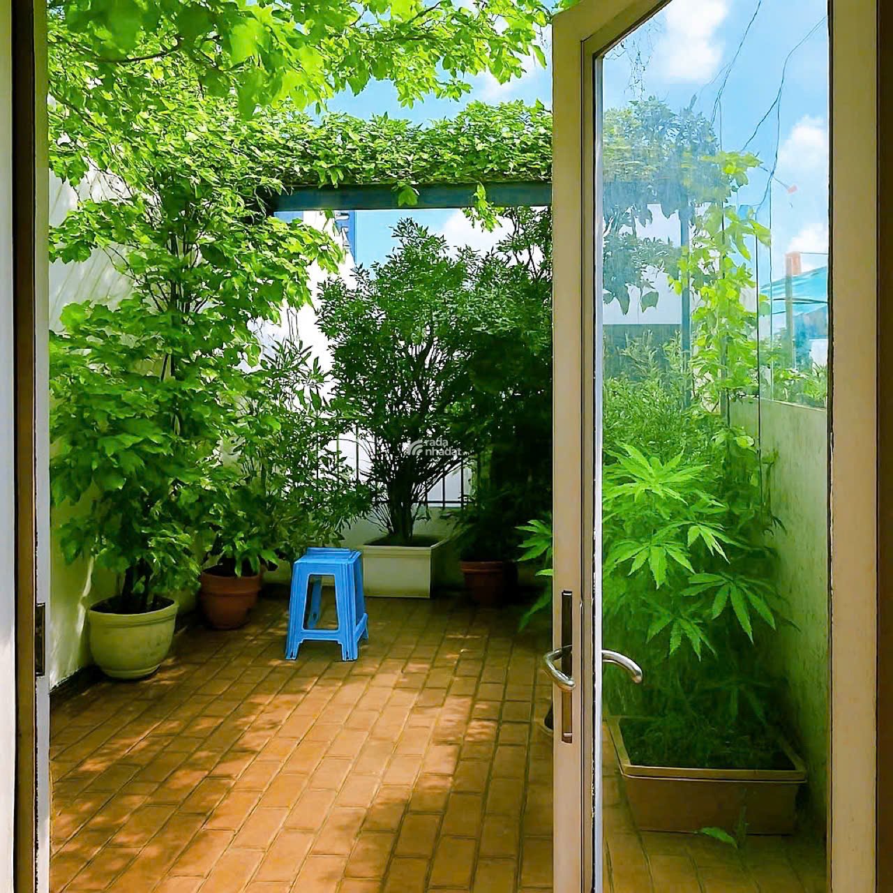 Bán nhà Quận 3, Hẻm Xe hơi Nguyễn Đình Chiểu, Sổ vuông vức 3.4 x 11 m, 8.4 tỷ