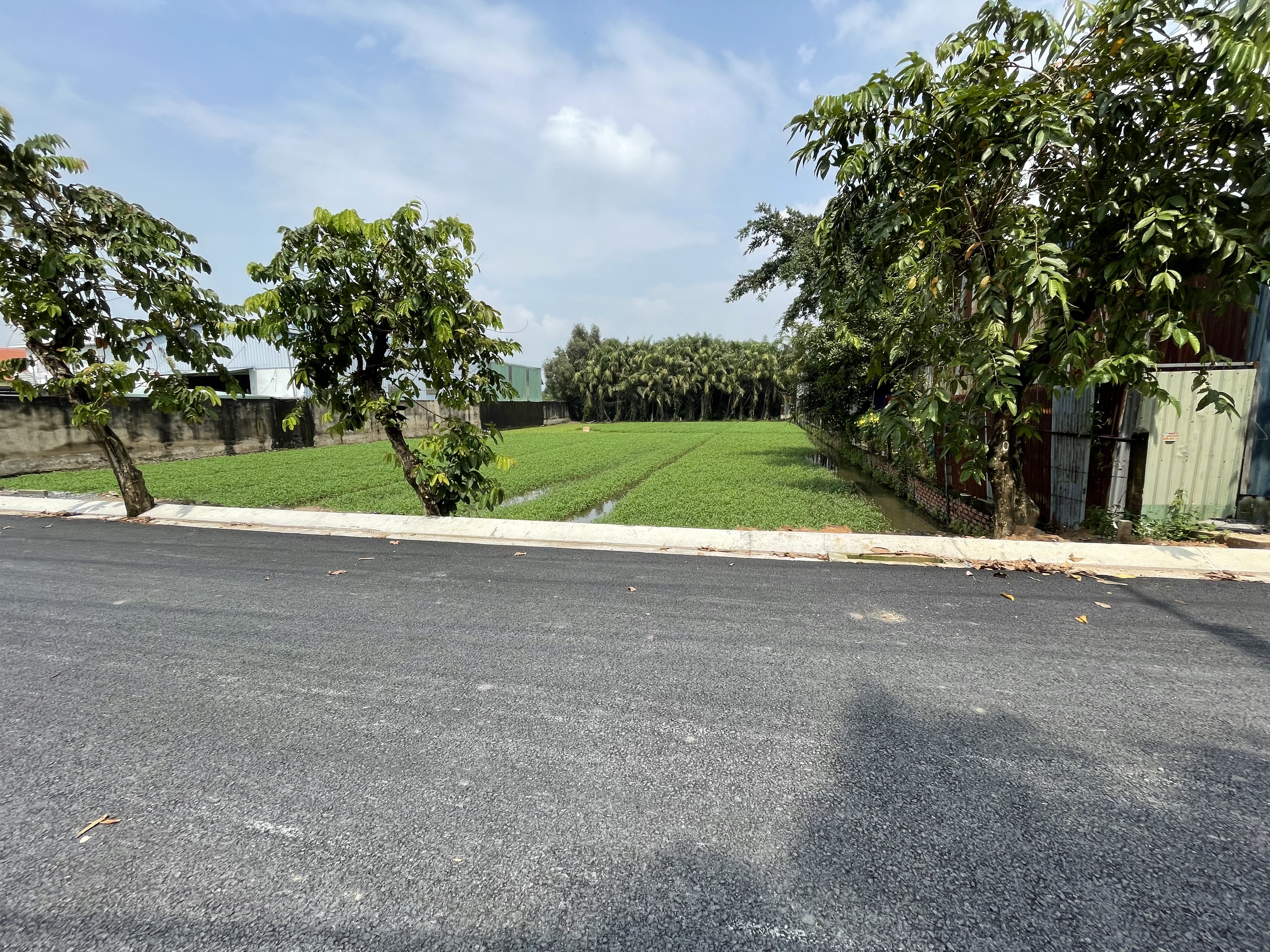 Bán 1316m2 đất đường nhựa Nhị Bình 5, xã Nhị Bình, Hóc Môn, 7.3 tỷ 