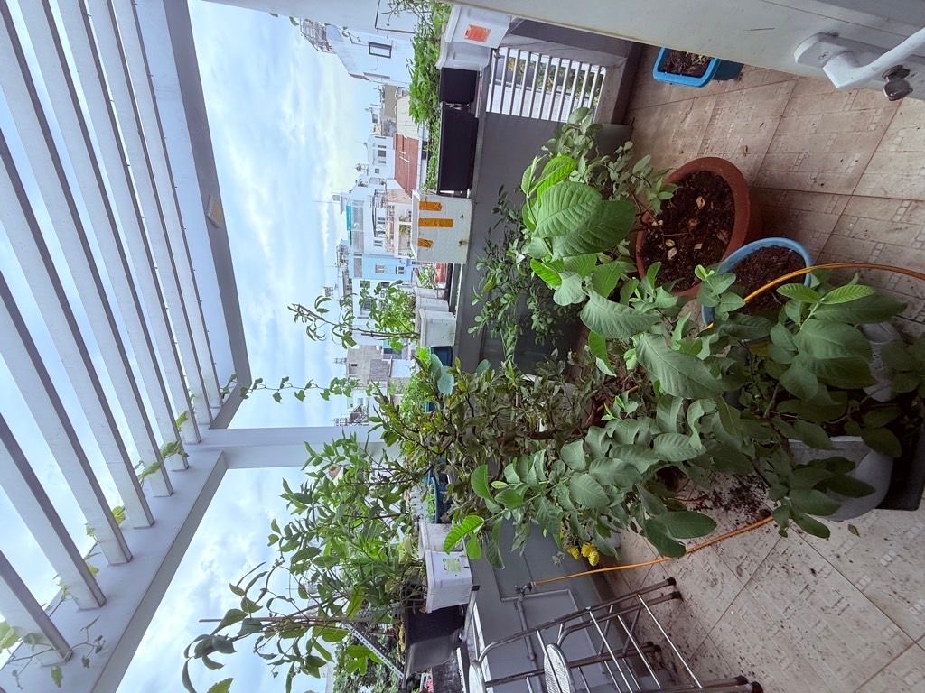 BÁN NHÀ MẶT TIÊN TÂN PHÚ THUẬN TIỆN ĐI LẠI