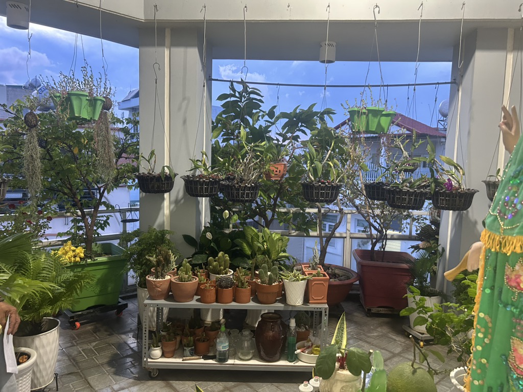 cách 50m ra mặt tiền gò dầu hẻm thông Cách 300m ra siêu thị aeon Nhật gần chợ trường học 