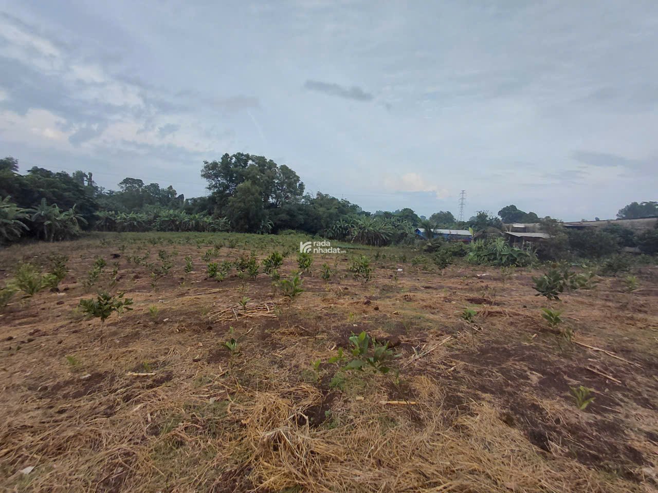 cần bán đất chính chủ,đất phủ hồng.pháp lí rõ ràng