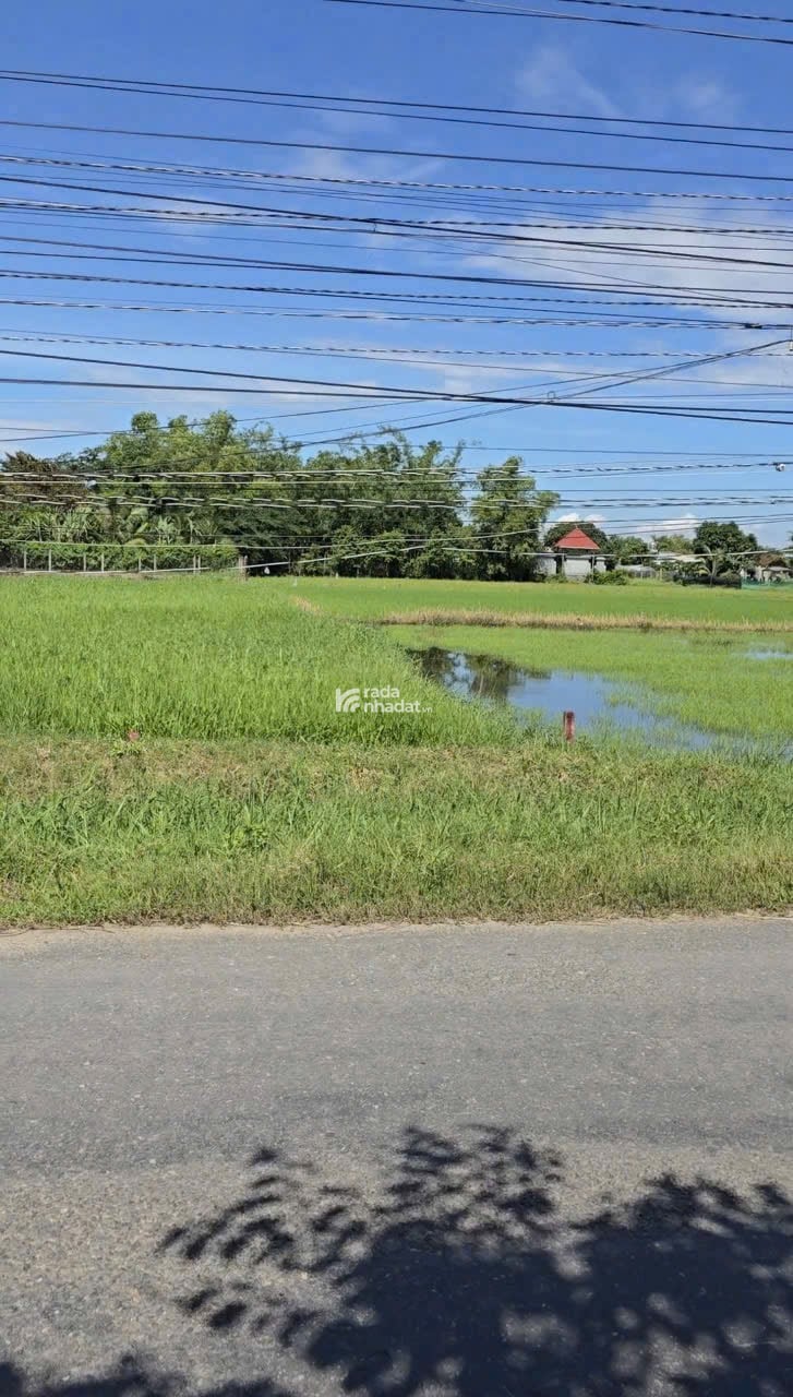 Bán đất mặt tiền Tân Hội - Hậu Nghĩa