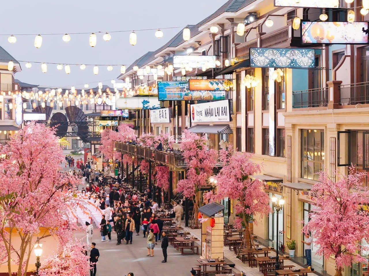 THE FOREST MỞ BÁN GIAI ĐOẠN 1 CỦA VINHOMES GREEN CITY