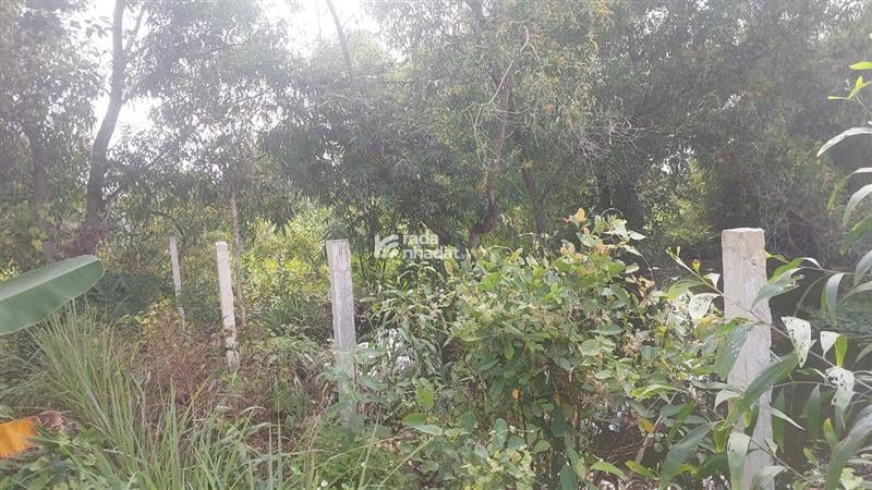 KDL THANH ĐA, MTKD BÌNH QUỚI, BÌNH THẠNH, 9664M2 ĐẤT VÀNG. GIẢM 350TR CHỈ CÒN 152T TL 