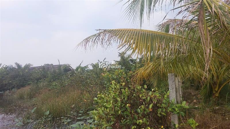 KDL THANH ĐA, MTKD BÌNH QUỚI, BÌNH THẠNH, 9664M2 ĐẤT VÀNG. GIẢM 350TR CHỈ CÒN 152T TL 