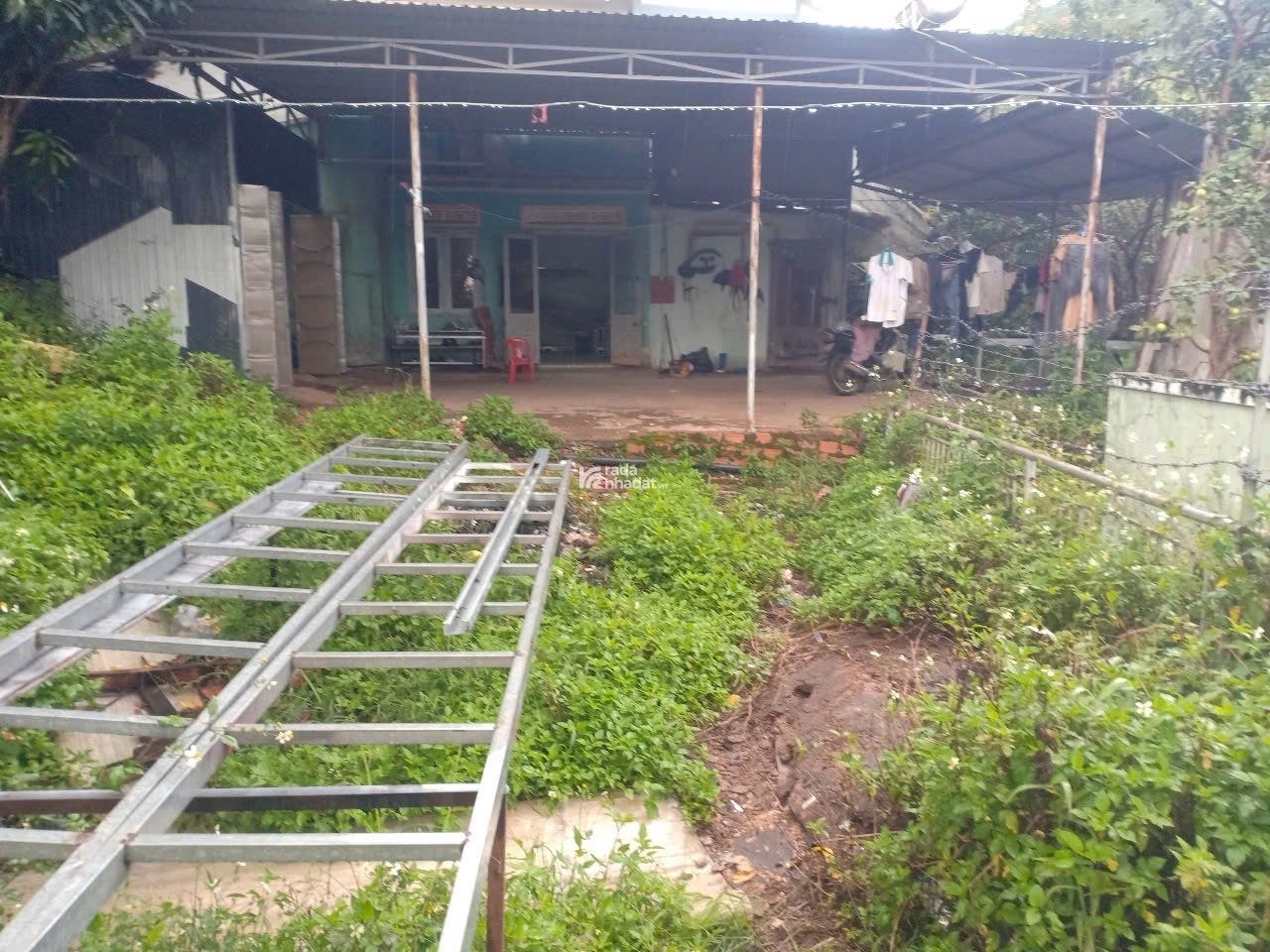 Bán đất Thổ Cư ở Trần Thái Tông, Đà Lạt