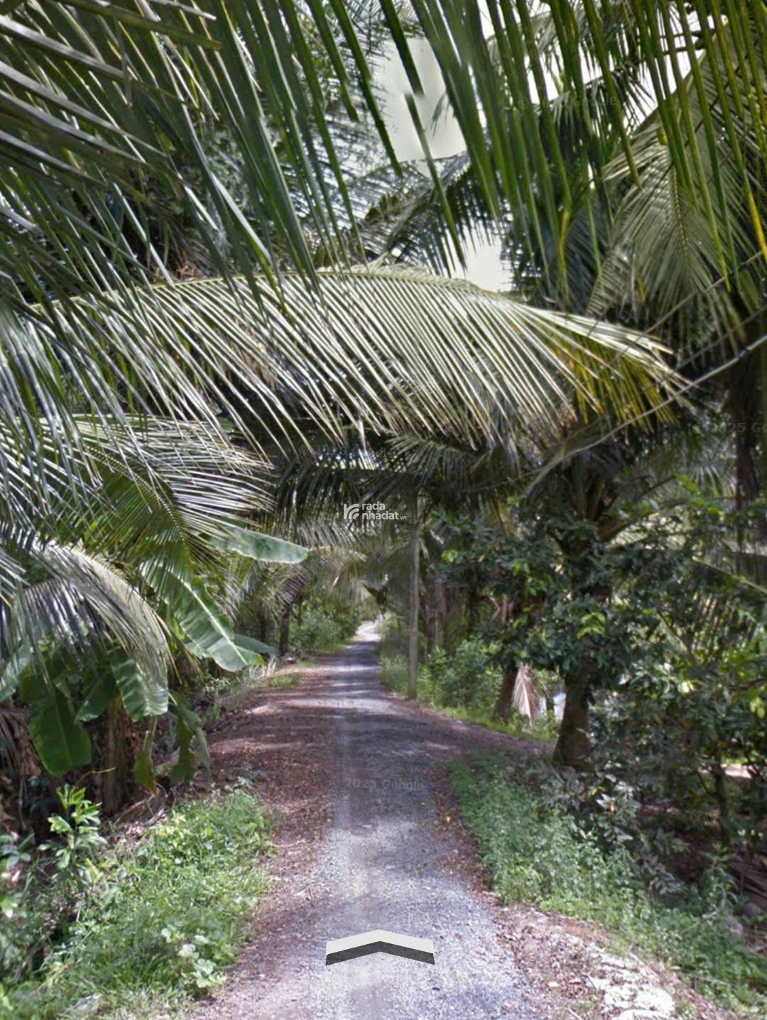 Bán đất lúa (chính chủ), gần KDC Nam Long, An Thạnh, Bến Lức, Long An
