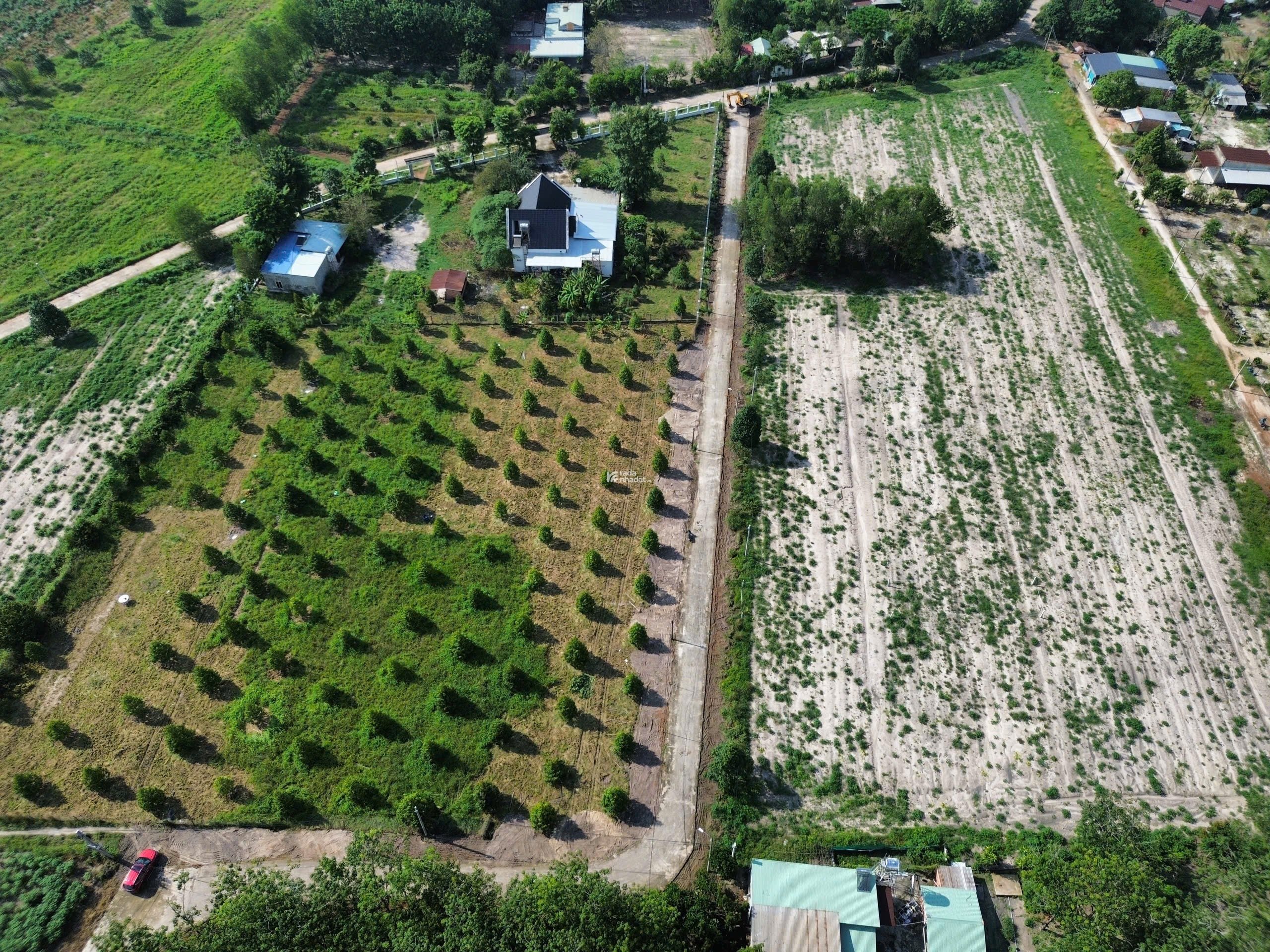 Bán sầu quê chính chủ chỉ có tại chơn thành