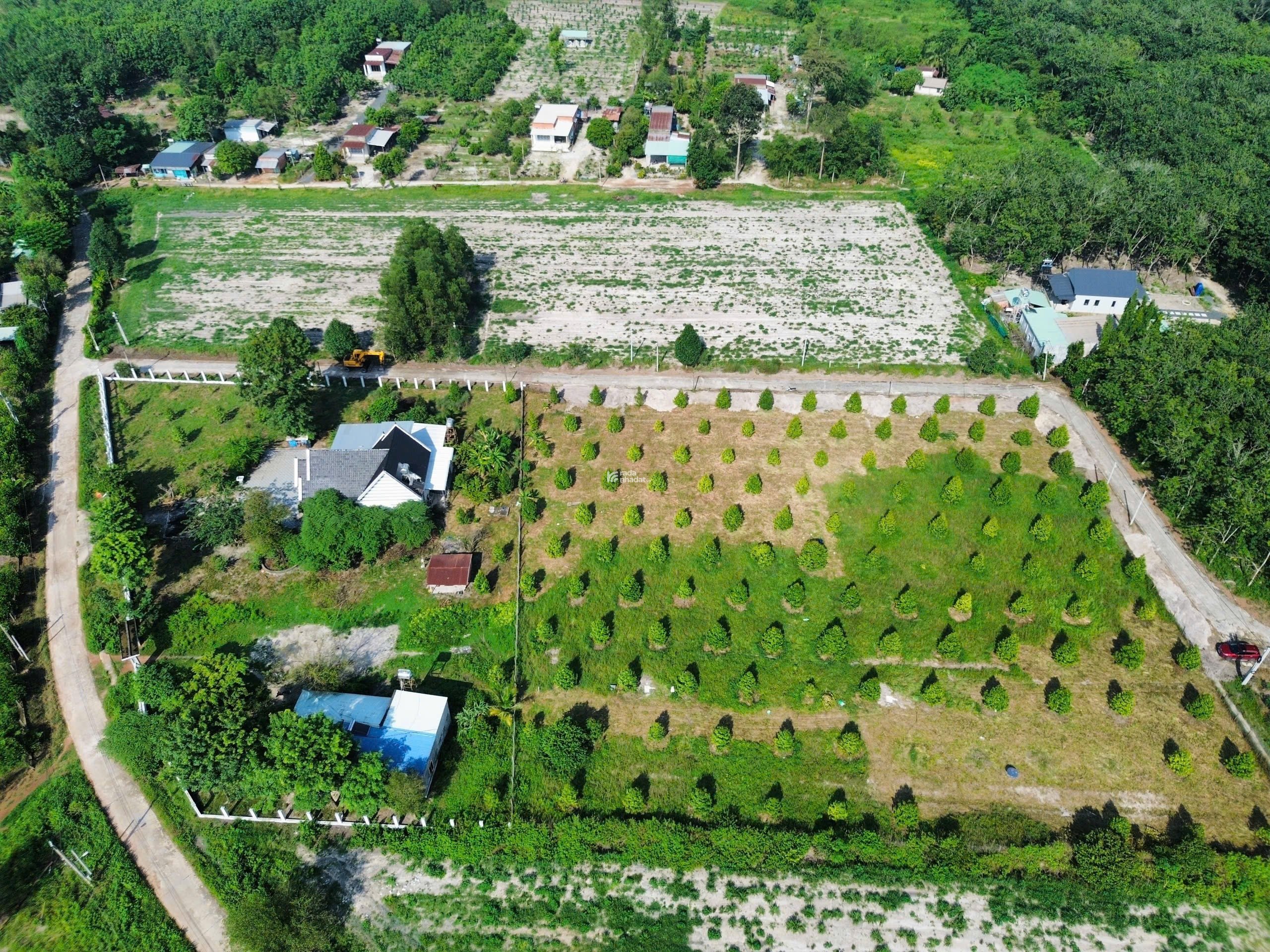 Bán sầu quê chính chủ chỉ có tại chơn thành
