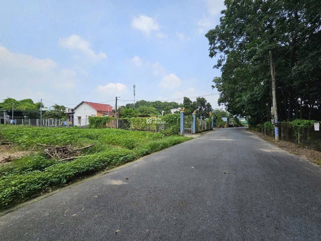 Bán sầu quê chính chủ chỉ có tại chơn thành
