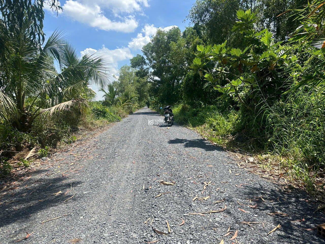 Bán 5.000m2 đất vườn Lê Minh Xuân, Bình Chánh