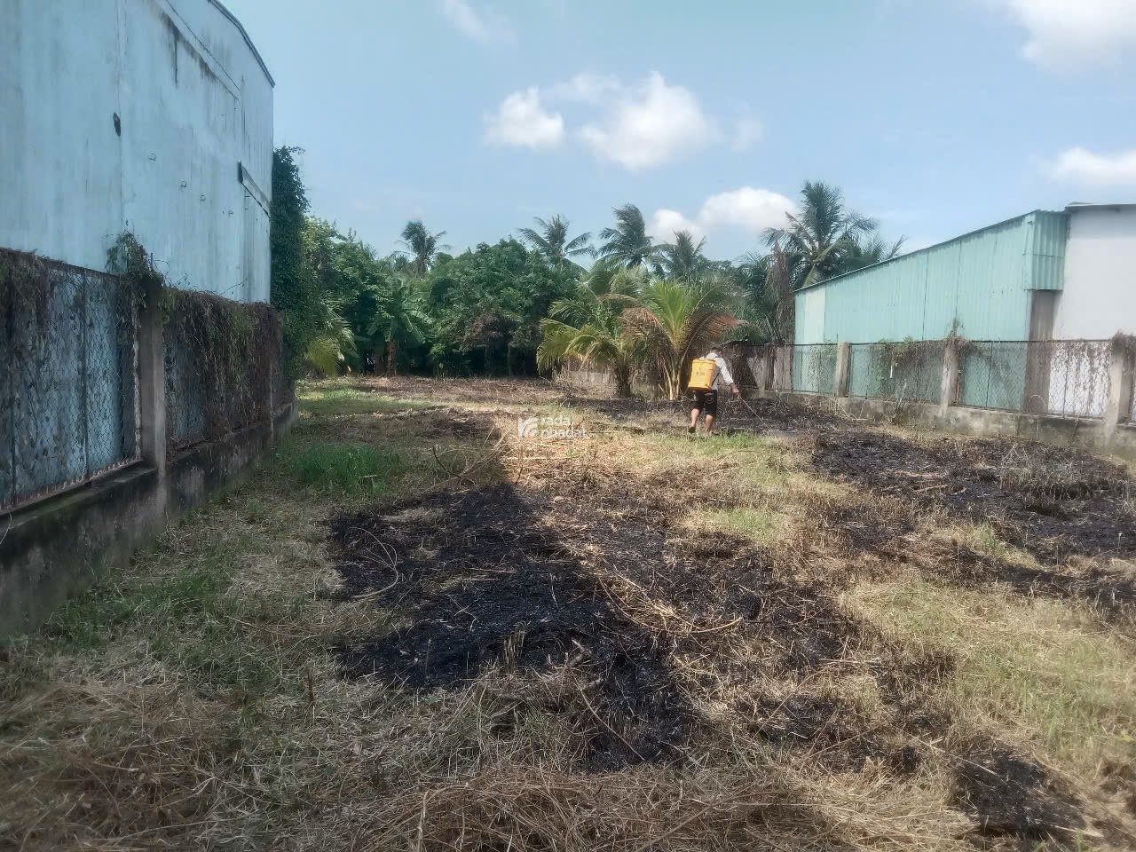 Mình cần bán miếng đất ở Xã Tân Kiên, Bình Chánh. 1000m2 giá ưu đãi
