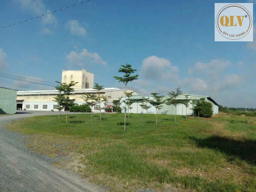 BÁN GẤP XƯỞNG SIÊU ĐẸP - VỊ TRÍ ĐẮC ĐỊA GÒ DẦU, TÂY NINH -  20.000m2