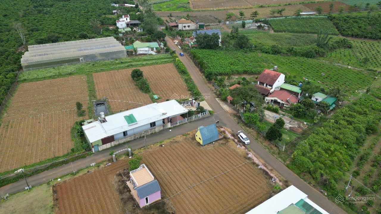 BÁN ĐẤT PHƯỜNG 2, TP. BẢO LỘC  GẦN NGÃ 5 DAMBRISỔ SẴN, GIÁ 980 TRIỆU