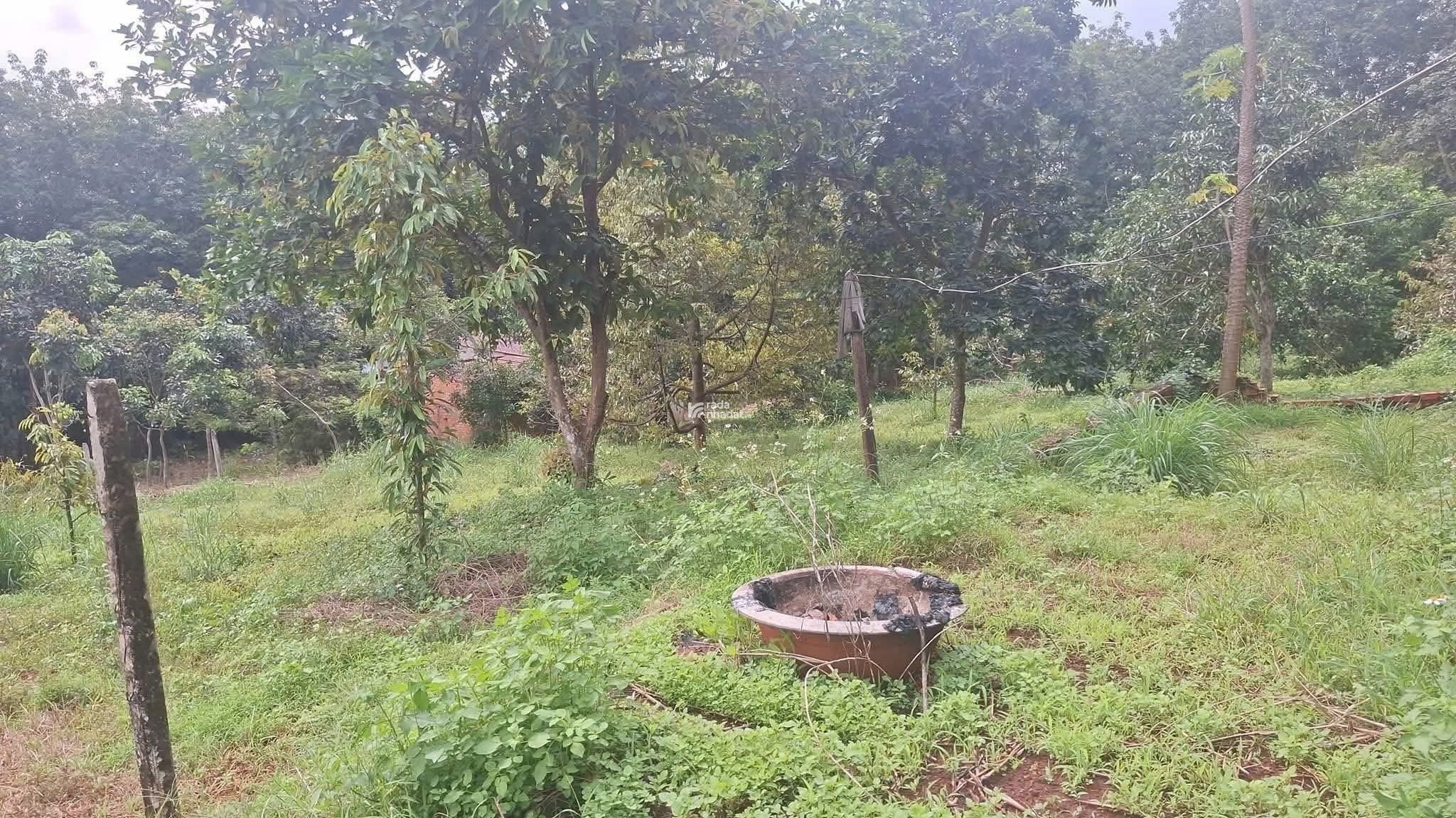 cô gái nghèo bán đất dân có sẵn 100m thổ cư