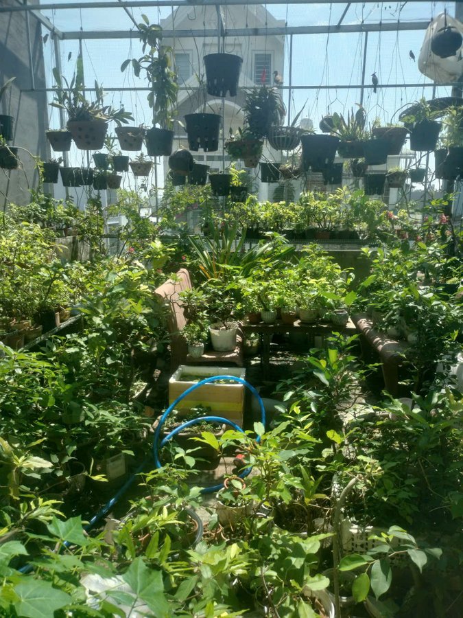 NHÀ 3 TẦNG CHÍNH CHỦ- HXH 6M THÔNG - KẾT HỢP Ở VÀ KINH DOANH RẤT THUẬN TIỆN