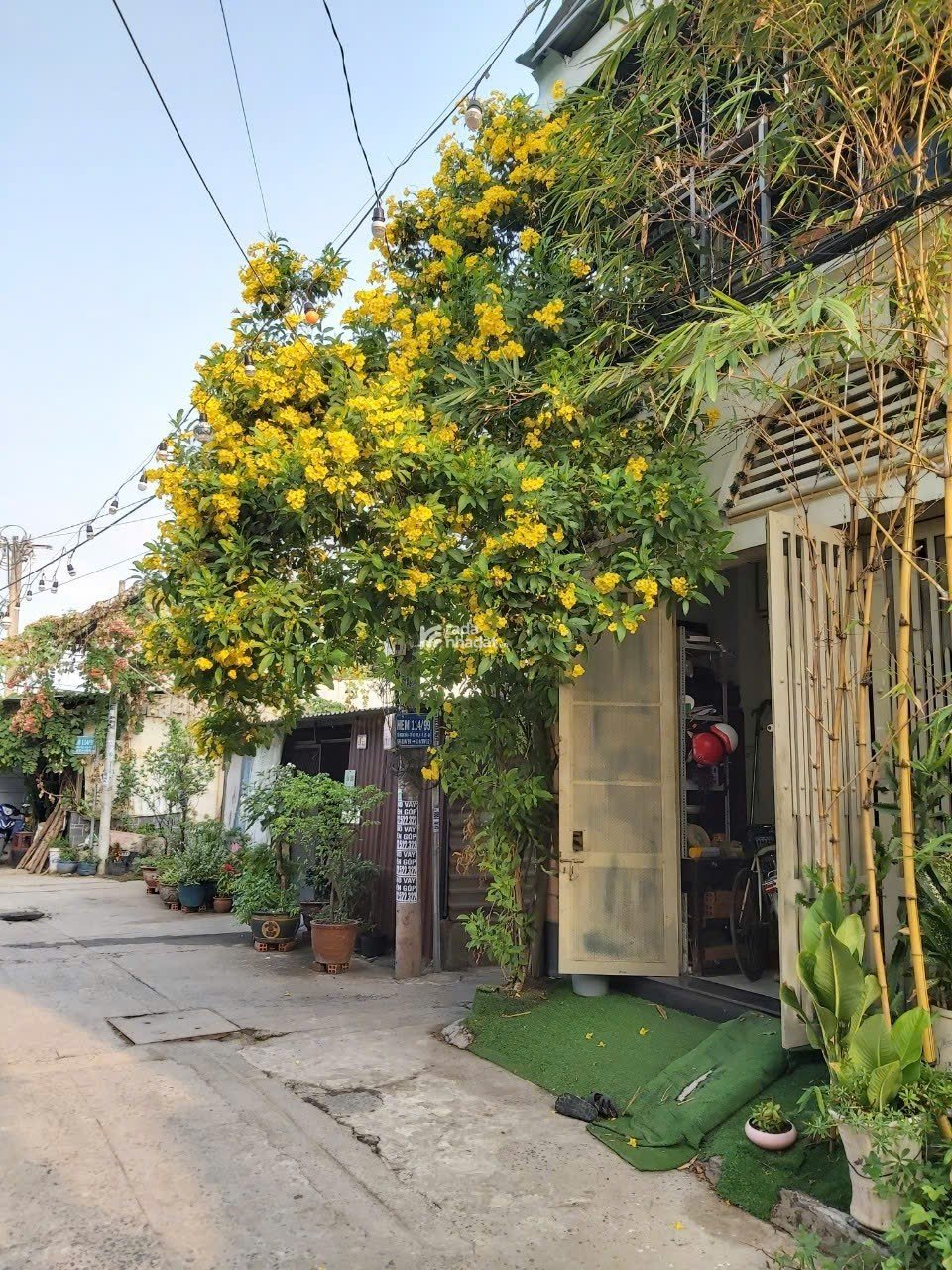 Nhà hẻm xe hơi đậu cửa giá lúa non