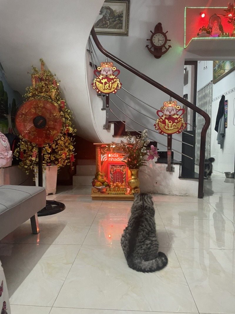 Bán nhà đẹp ở ngay Hoàng Xuân Hoành, Hiệp Tân, Tân Phú chỉ 5.25 tỷ