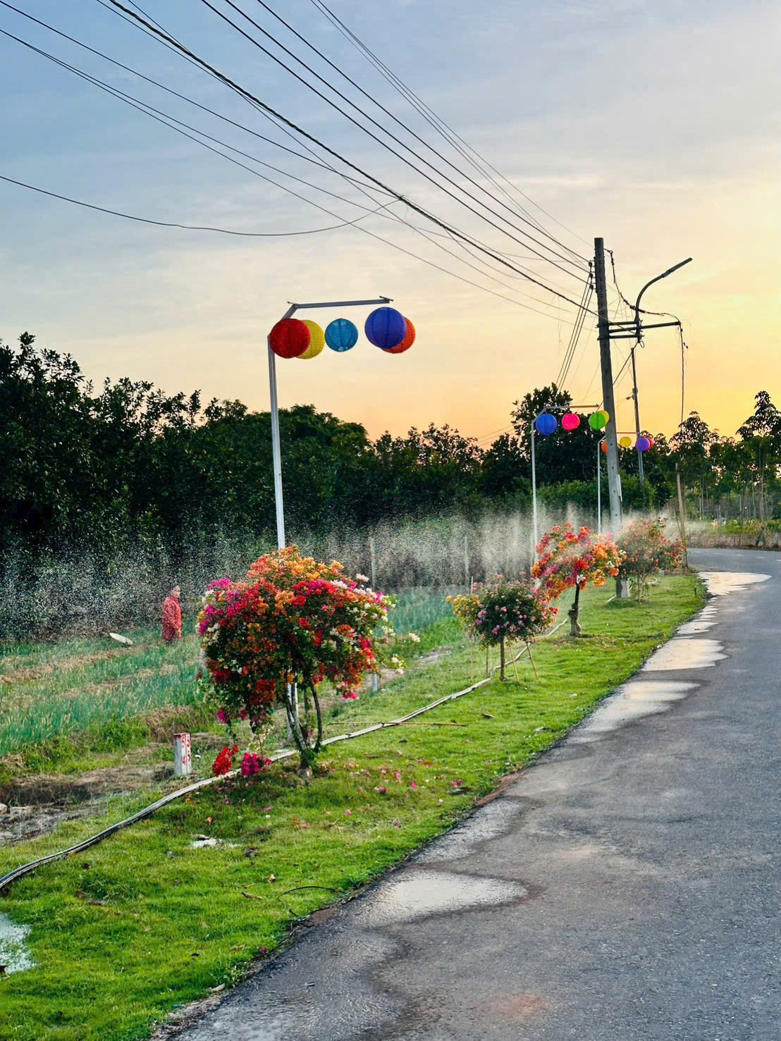 250m2 trừ văn thố tpHCM gần ngay trường học và chợ 