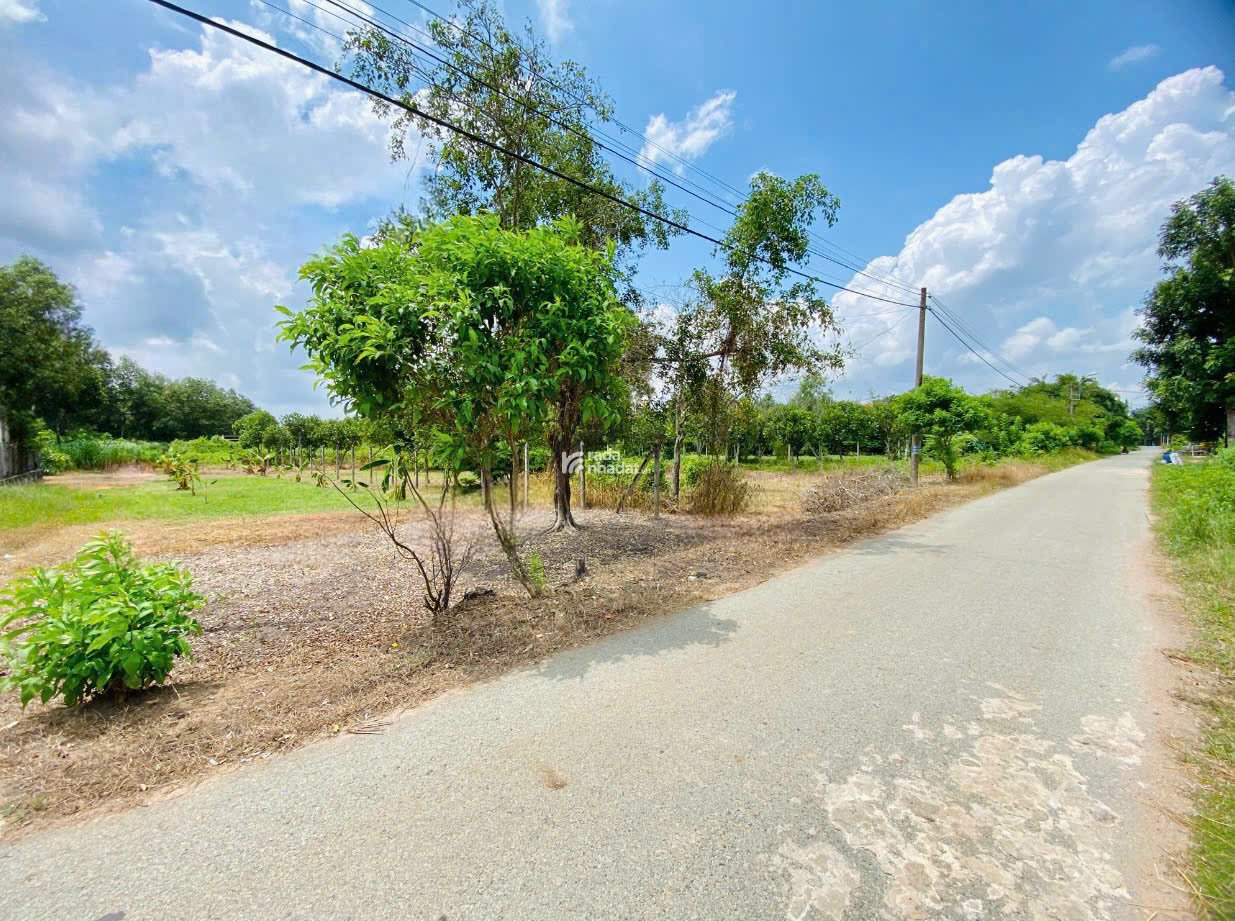 Gia đình chính chủ cần bán gấp lô đất ở Củ Chi 590trieu