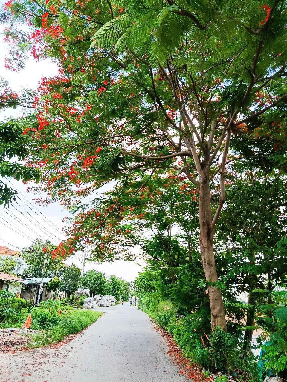 Đất nền làng đại học Thủ Đức chợ Đông Hoà chung cư HT Pearl