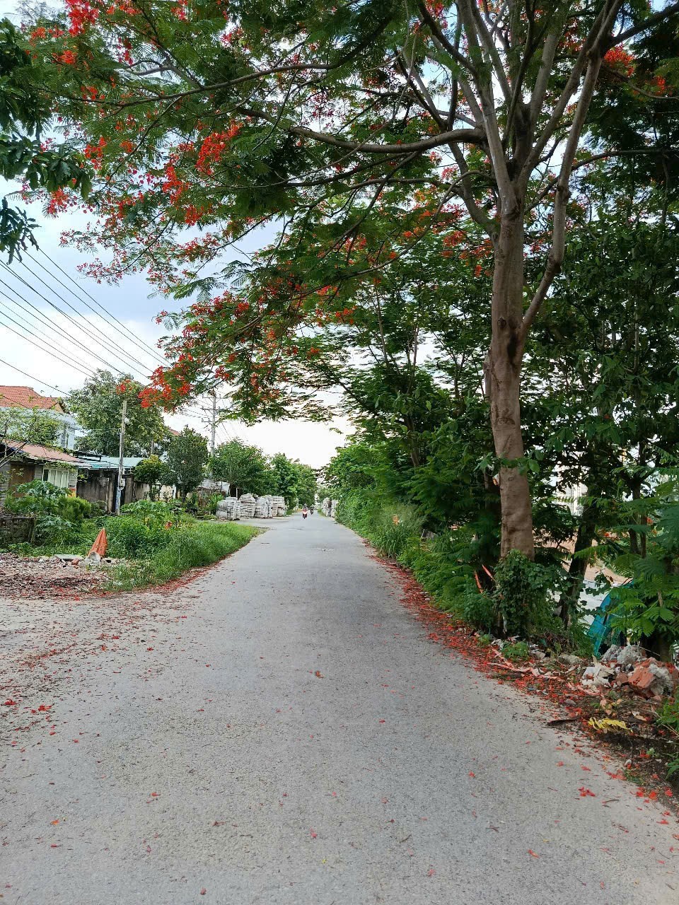 Đất nền làng đại học Thủ Đức chợ Đông Hoà chung cư HT Pearl