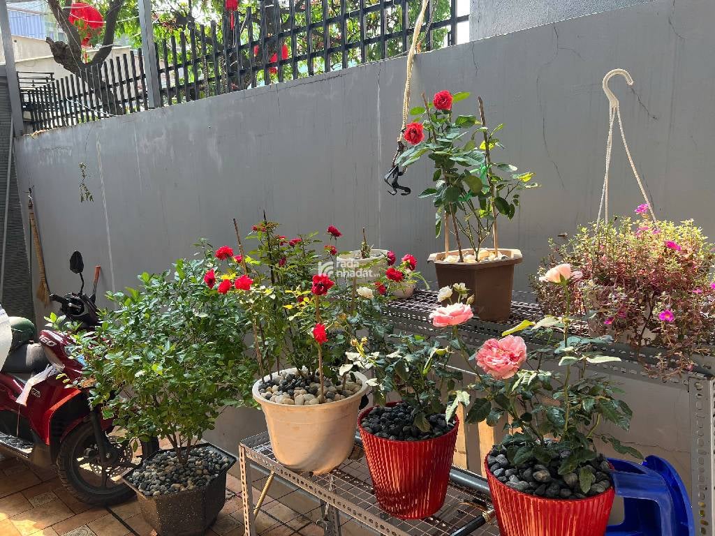 NHÀ MẶT TIỀN MỚI ĐẸP Ở NGAY TẶNG FULL NỘI THẤT GẦN CHỢ TAM HÀ 115m2 CHỈ 7 TỶ.