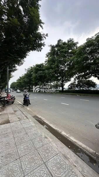 Bán Nhà 2 Mặt Tiền Trước Sau 157B Cô Bắc. Phường Cô Giang. Quận 1