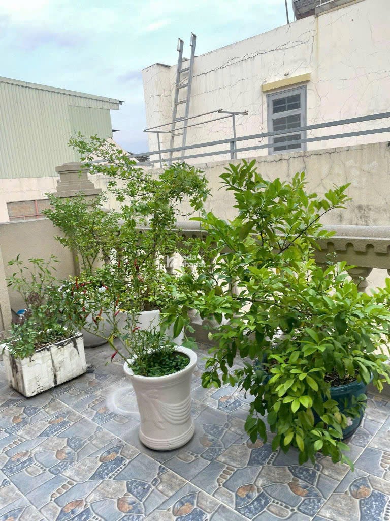 HẺM XE HƠI BUSINESS LÊ ĐỨC THỌ, GÒ VẤP, 5 TẦNG SIÊU PHẨM CÓ KC Ở NGAY. CHỈ CÒN 37.5T TL 