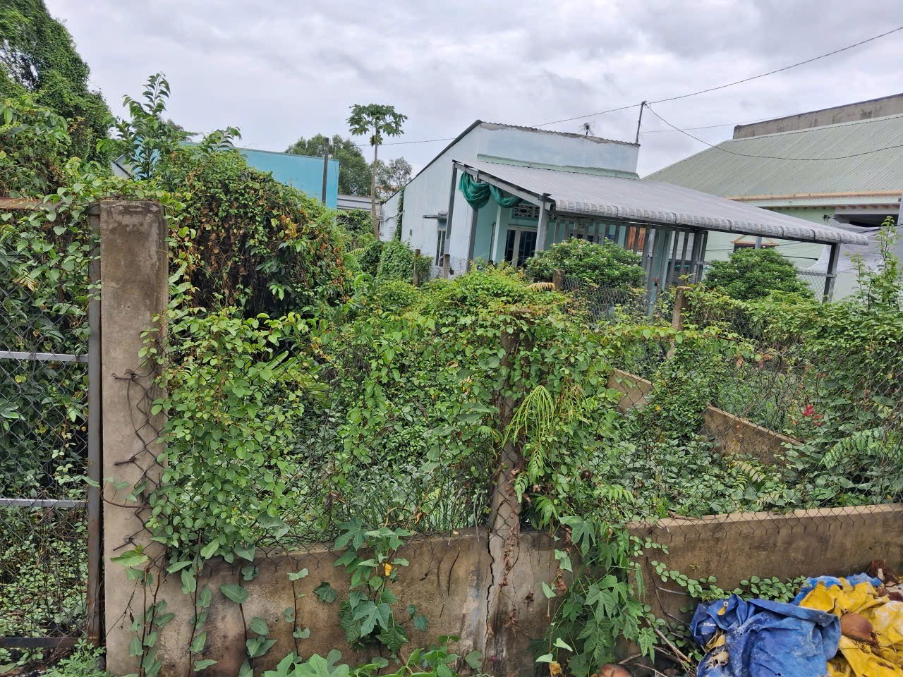 Bán đất đường Thích Thiện Hoà 465,9m2 ( 12x40m )