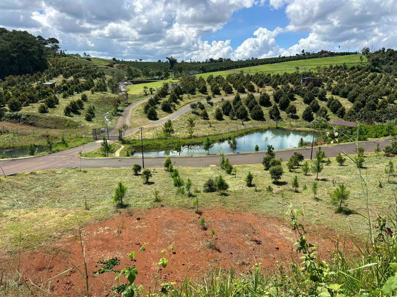 2 lô đất nền view đồi biệt thự mặt tiền đường Lý Thái Tổ (28m) nối dài TP. Bảo Lộc