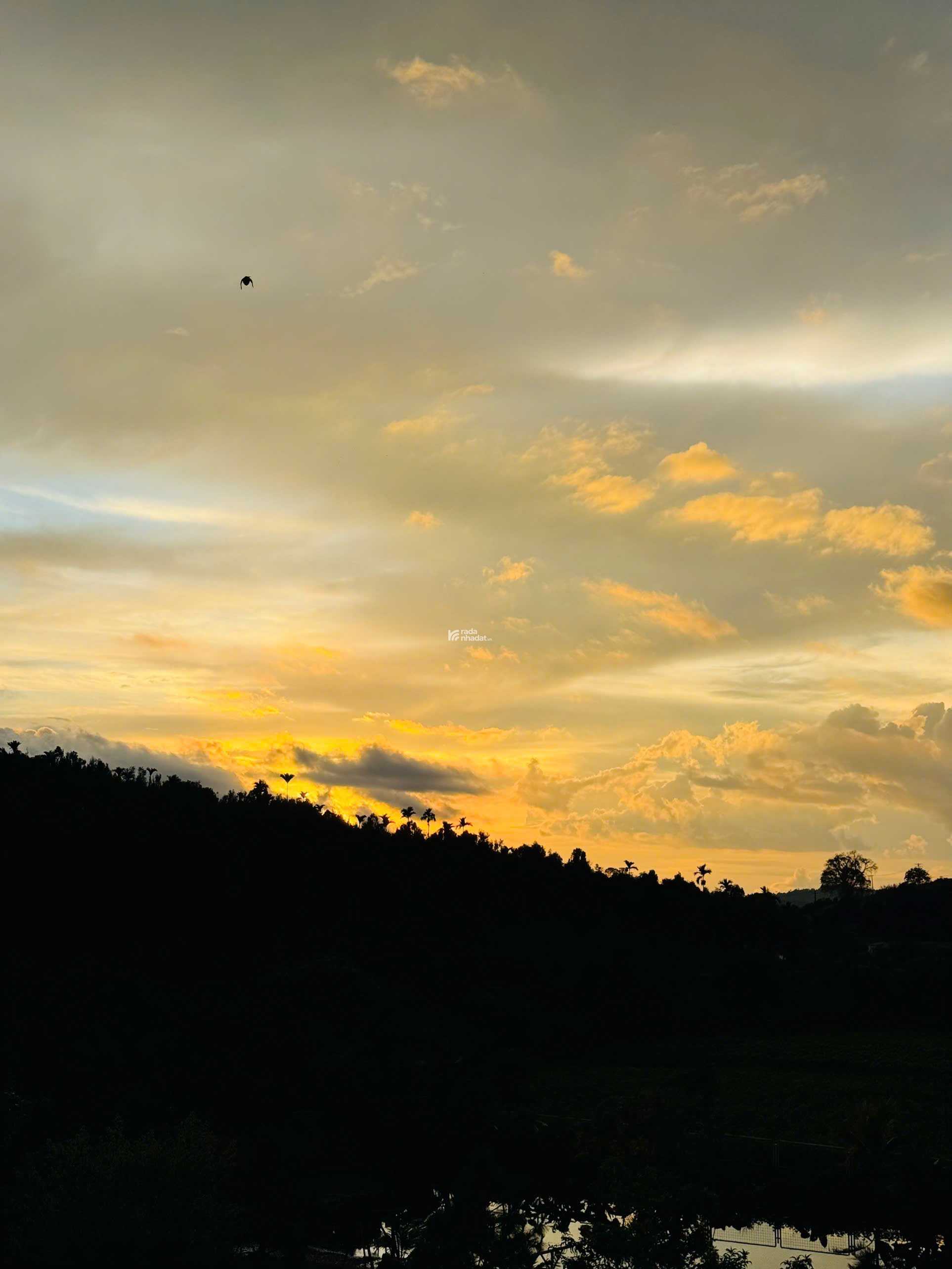 BẤT ĐỘNG SẢN NGHỈ DƯỠNG BẢO LỘC _ VỊ TRÍ CHỈ CÓ 1 KHÔNG CÓ 2 