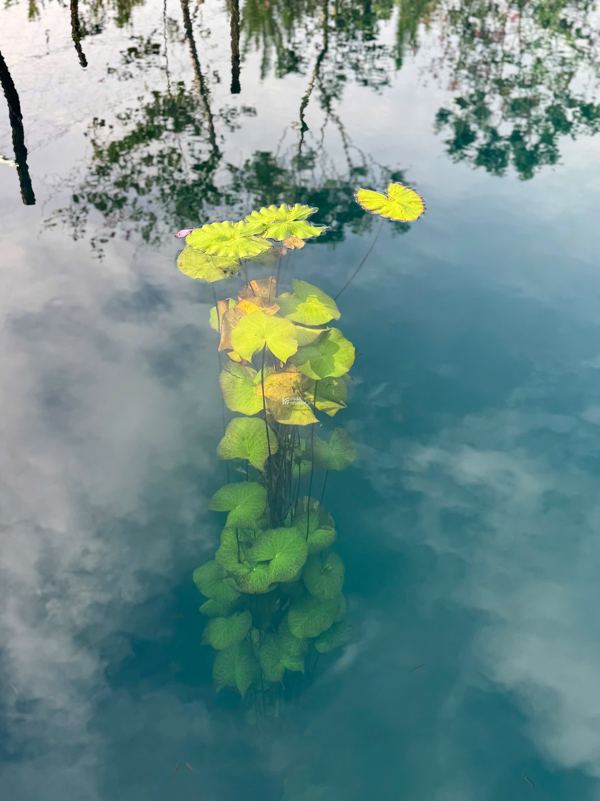 BẤT ĐỘNG SẢN NGHỈ DƯỠNG BẢO LỘC _ VỊ TRÍ CHỈ CÓ 1 KHÔNG CÓ 2 