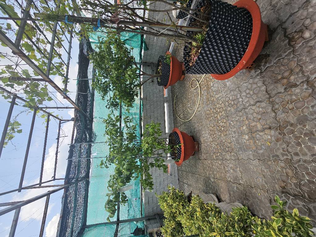  Lê ĐìnhCẩn. Phường BTĐA Quận Bình Tân.  