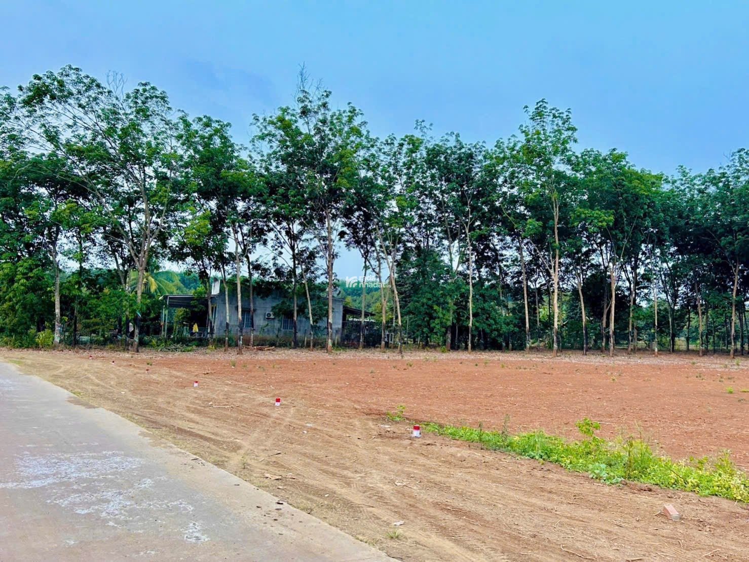 Đất giá siêu rẻ Long Hà - Phú Riềng