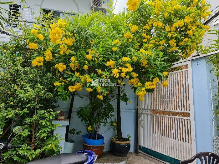 BÁN NHÀ LÒ GỐM QUẬN 6 120M2 11.5 TỶHẺM 1 TRỤC SÁT MẶT TIỀN KẾ CÔNG VIÊN BÌNH PHÚ