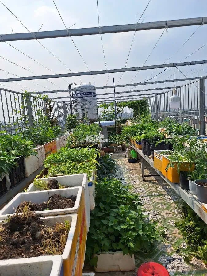 BÁN NHÀ MỚI XÂY 6 TẦNG MẶT TIỀN ĐƯỜNG SỐ,BÌNH HƯNG HÒA, BÌNH TÂN GIÁP AEON MALL TÂN PHÚ CHỈ 7.95 TỶ