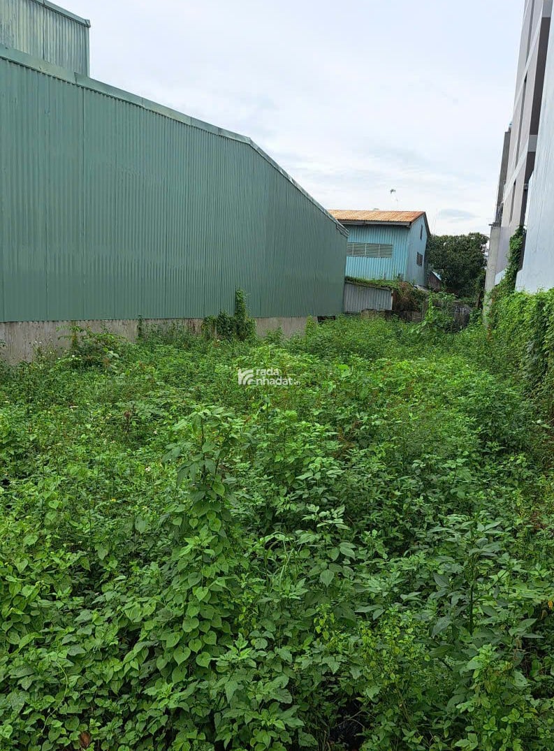 ĐẤT MẶT TIỀN Đ. RẠCH LÙNG TAM PHÚ CỰC ĐẸP, KINH DOANH ĐA NGÀNH, 10X32 CHỈ 31 TỶ.