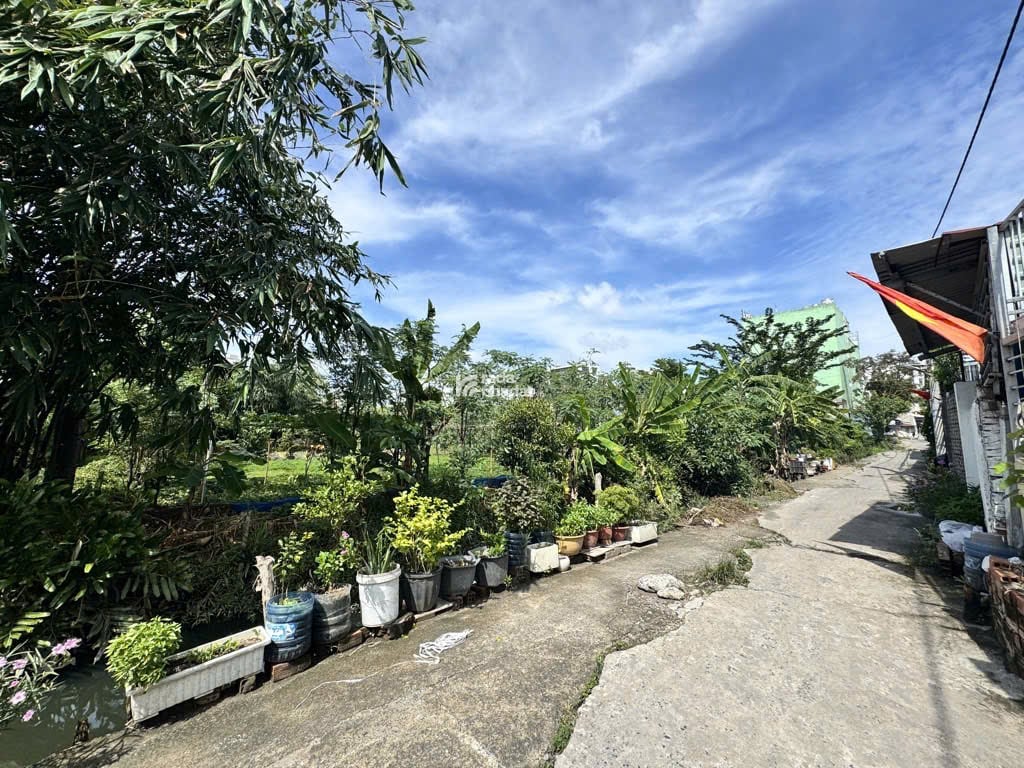 Bán gấp dãy nhà trọ 17 phòng   Vườn Lài  An Phú Đông  Q12  11x35m  Hẻm xe hơi Giá 17 Tỷ