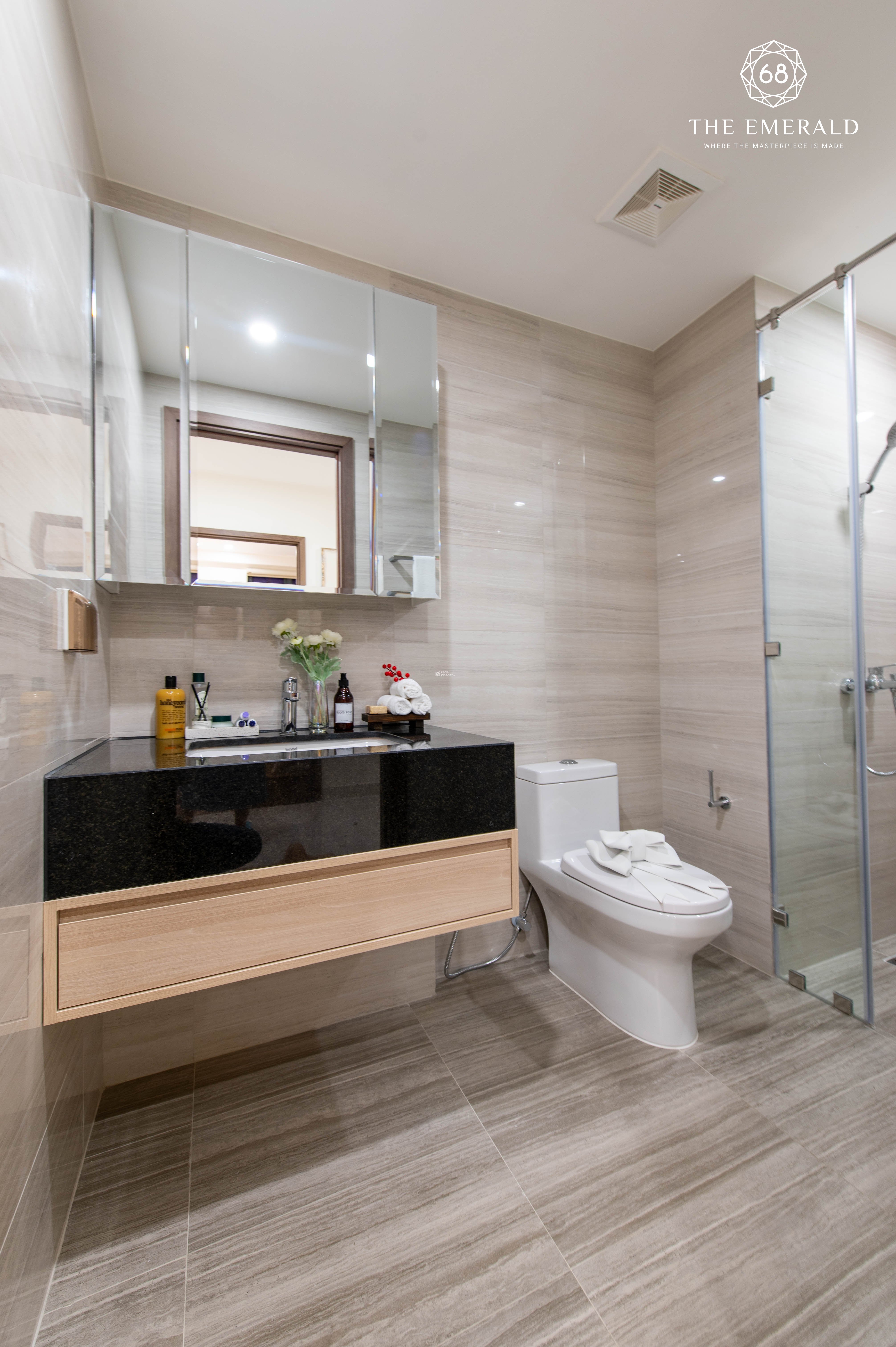 SỞ HỮU CĂN HỘ CAO CẤP THE EMERALD 68 CHỈ VỚI #230TR NGAY MT QL13 