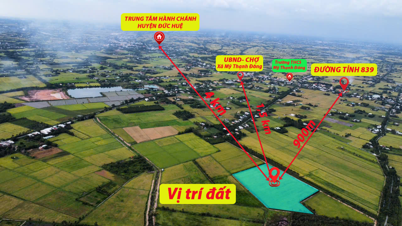 3,5 mẫu lúa rừng sản xuất mặt tiền đá xanh trung tâm huyện Đức Huệ, Long an giá rẽ