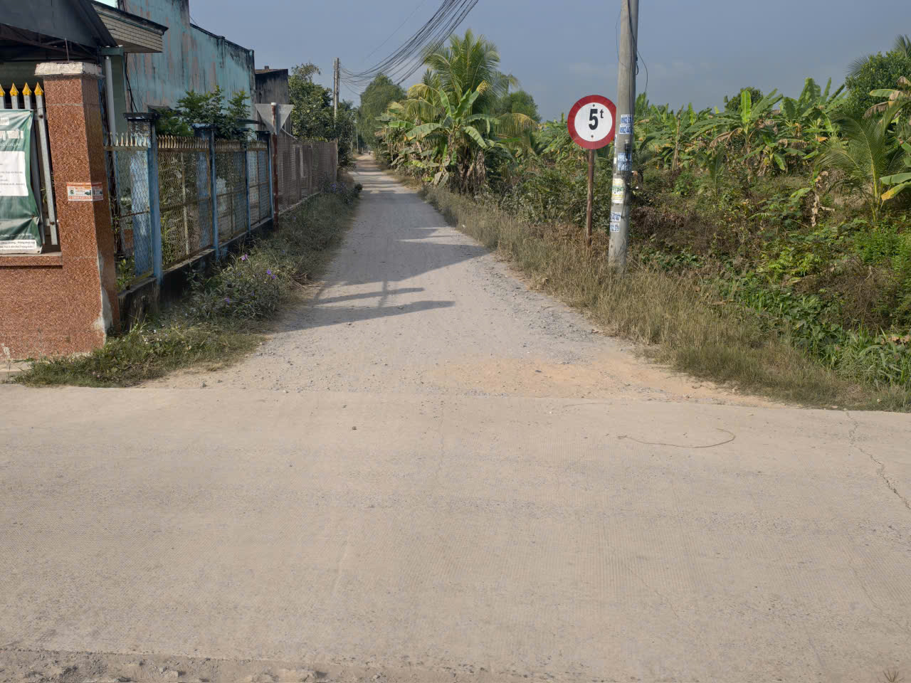 3,5 mẫu lúa rừng sản xuất mặt tiền đá xanh trung tâm huyện Đức Huệ, Long an giá rẽ