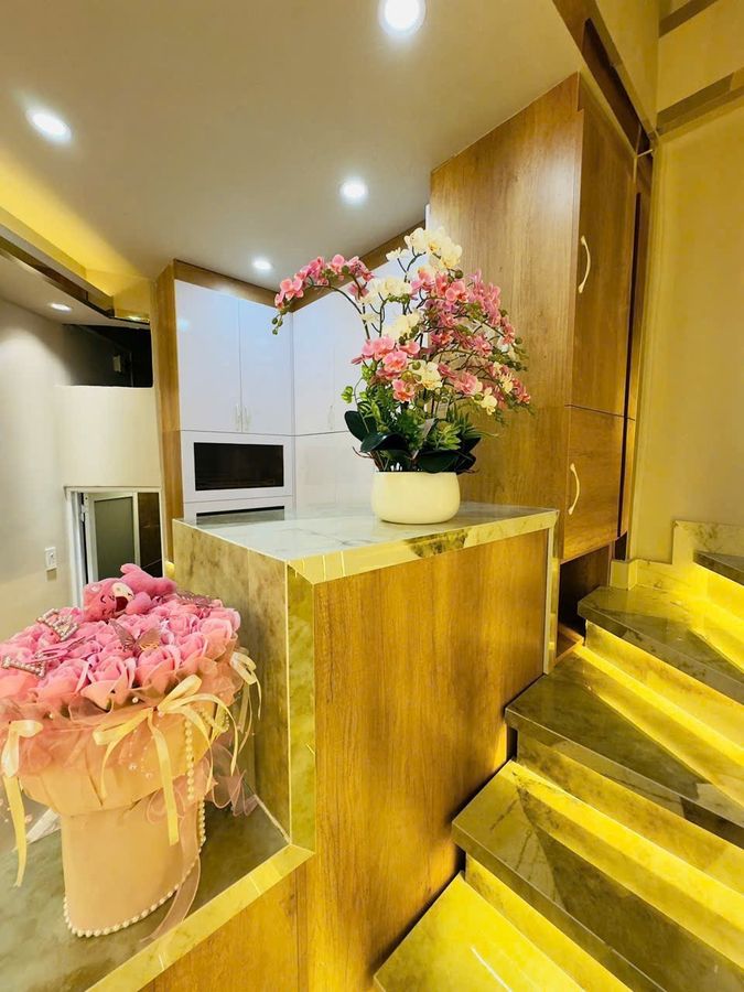 CĂN NHÀ CỰC KỲ ĐẸP DỌN VÀO Ở NGAY , NGAY ĐƯỜNG THĂNG LONG SÁT SÂN BAY TNS 