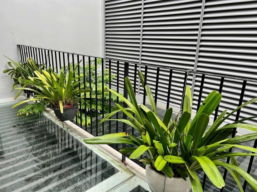 MẶT TIỀN 4.3M NỞ HẬU 8.3M - DÀI 28M - VỪA Ở VỪA KINH DOANH - SẴN DÒNG TIỀN 240 tr/ NĂM Nguyễn Hữu T